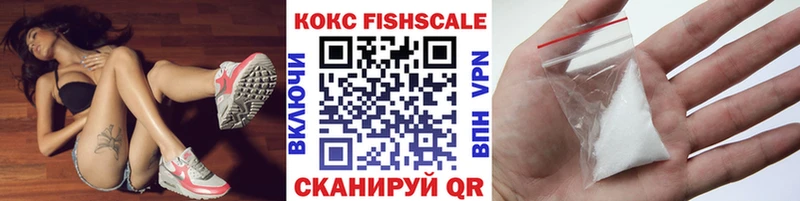 Cocaine FishScale  Купить закладки  Набережные Челны 