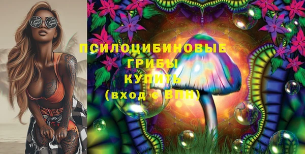 ГАЛЛЮЦИНОГЕННЫЕ ГРИБЫ Беломорск