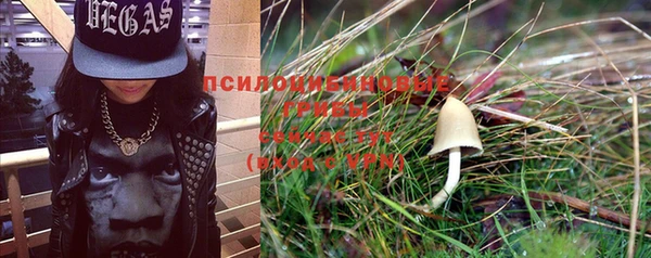 мяу мяу мука Приозерск