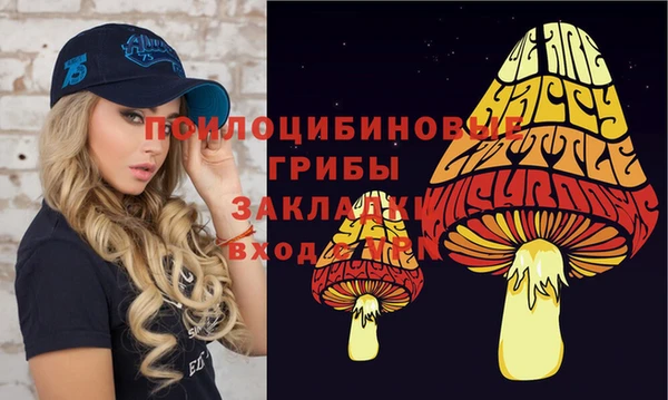 ГАЛЛЮЦИНОГЕННЫЕ ГРИБЫ Беломорск