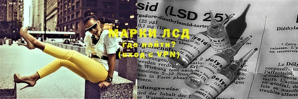 ГАЛЛЮЦИНОГЕННЫЕ ГРИБЫ Беломорск